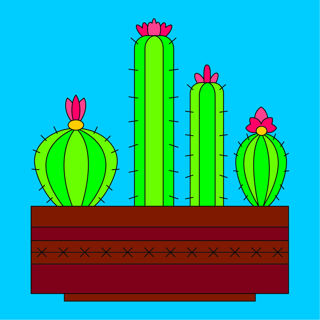 kaktusi
